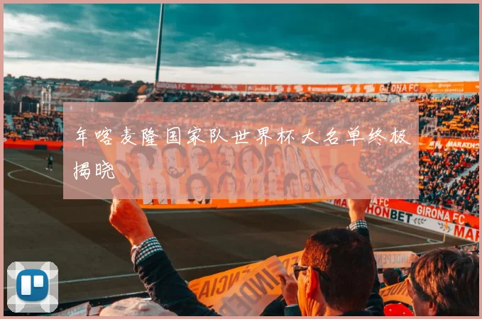 年喀麦隆国家队世界杯大名单终极揭晓