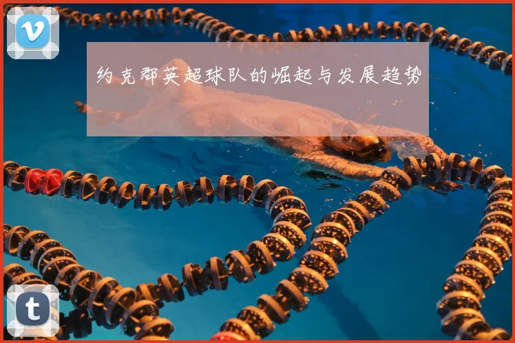 约克郡英超球队的崛起与发展趋势