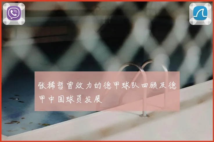 张稀哲曾效力的德甲球队回顾及德甲中国球员发展